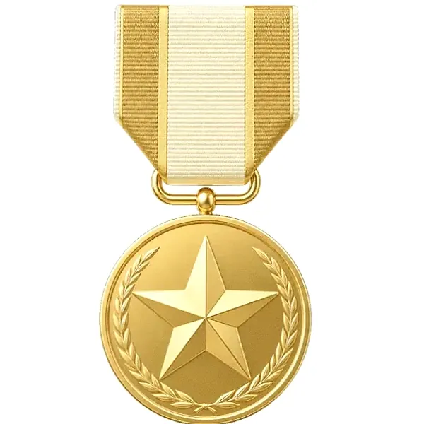 Star medal — Vegas Hero