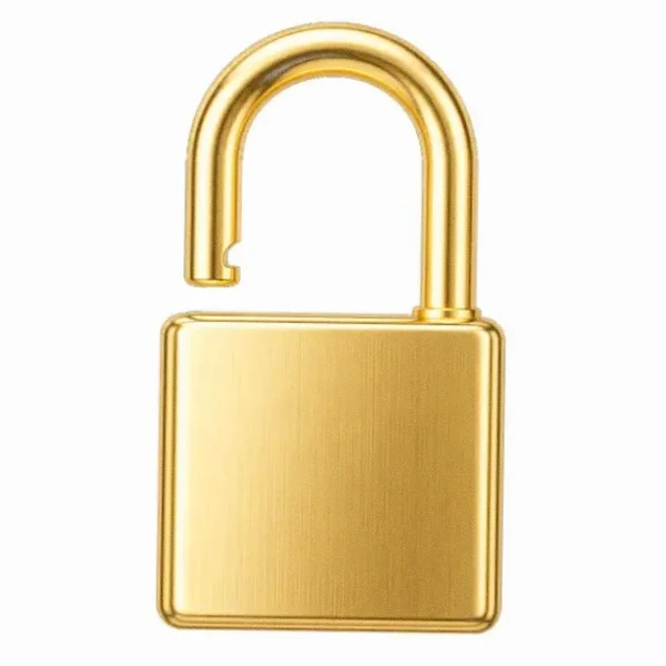 Padlock — Vegas Hero